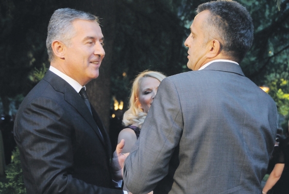 Knežević: Zmajček na radijatoru