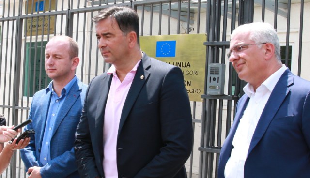Lideri DF-a sa šefom Delegacije EU u CG: Nezakonito ponašanje Katnića (VIDEO)