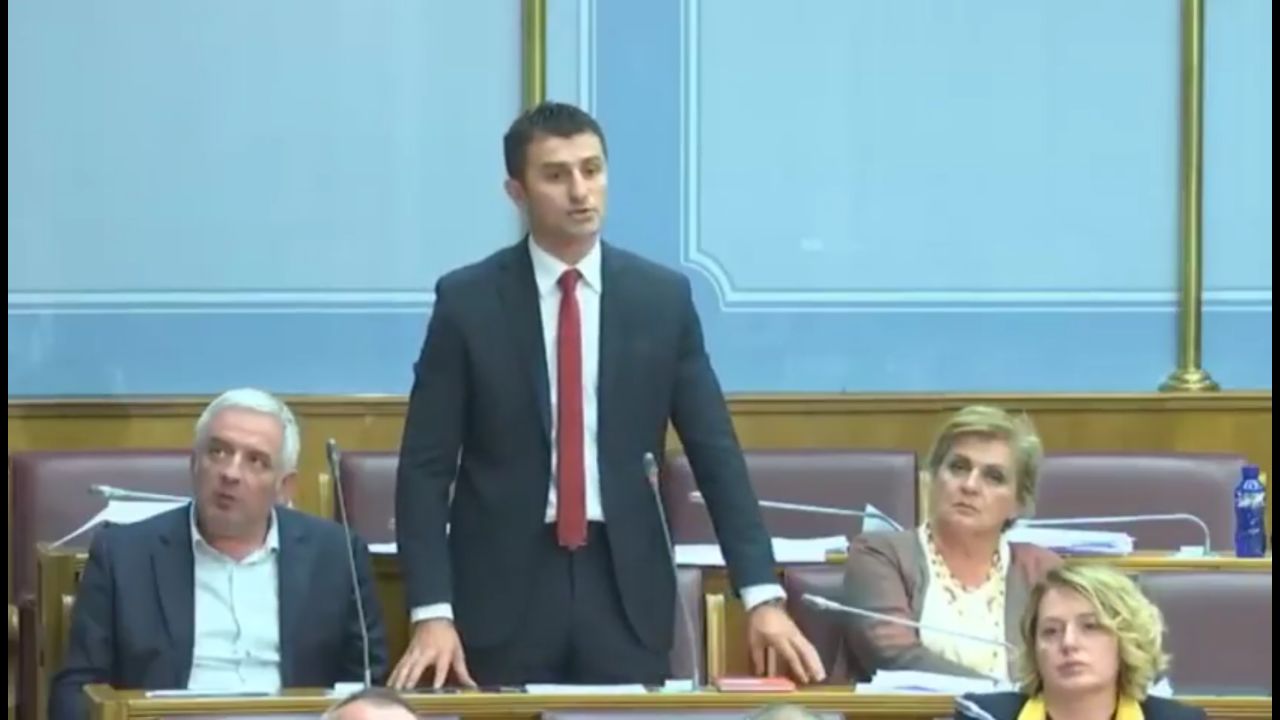 Зоговић: Уставни суд легализује пуку отимачину искључиве надлежности Скупштине Црне Горе